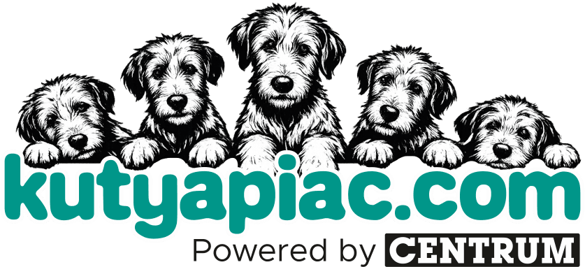 Kutyapiac